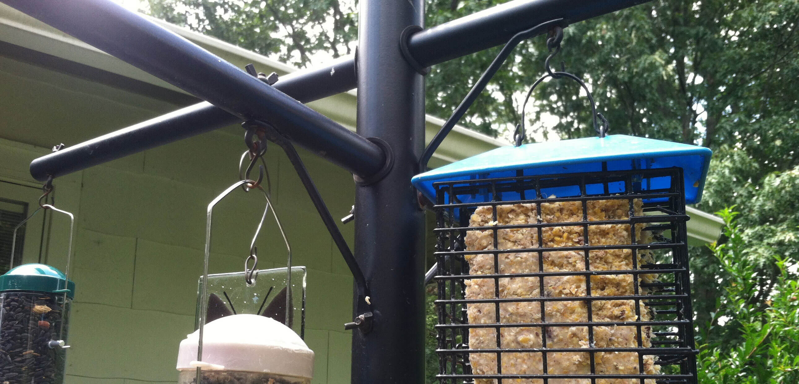 squirrel proof bird feeder pole cone soring