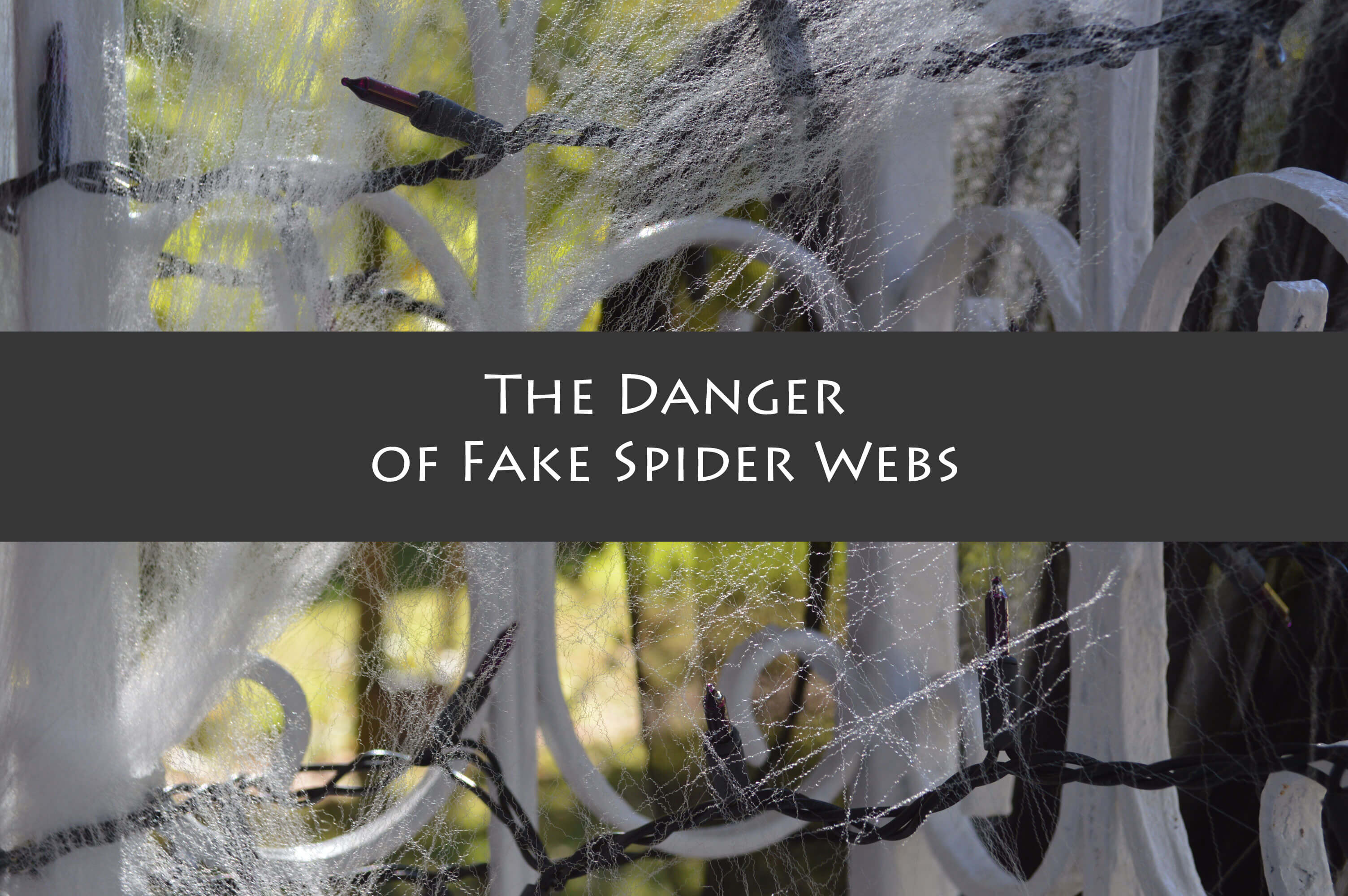 fake spider web decoration