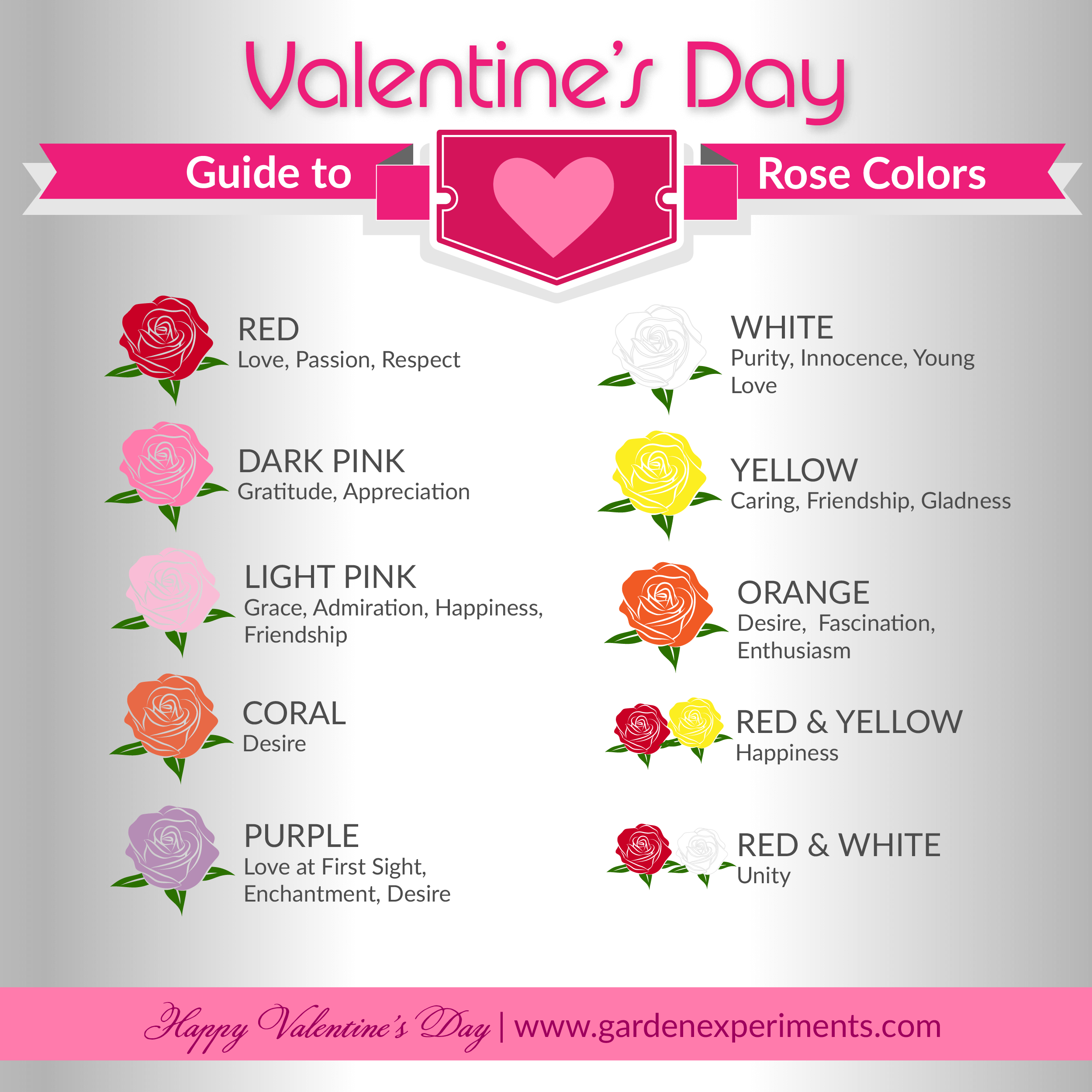 Rose Color Meanings & When To Gift Each Color