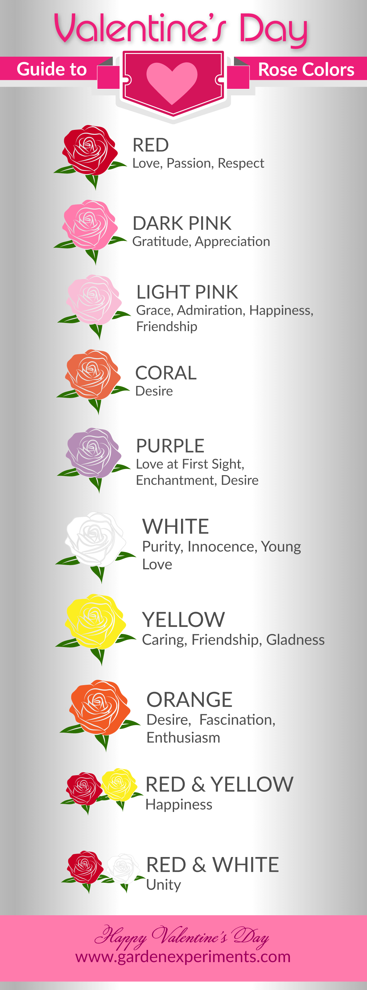 Rose Color Meanings Chart