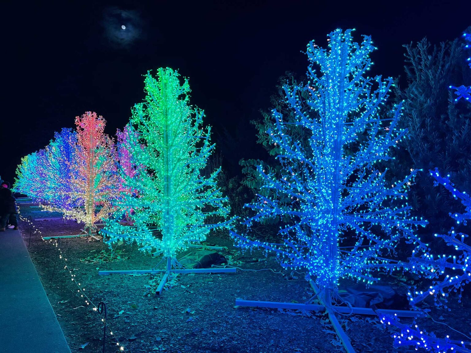 Garden Lights, Holiday Nights at the Atlanta Botanical Garden -- The ...